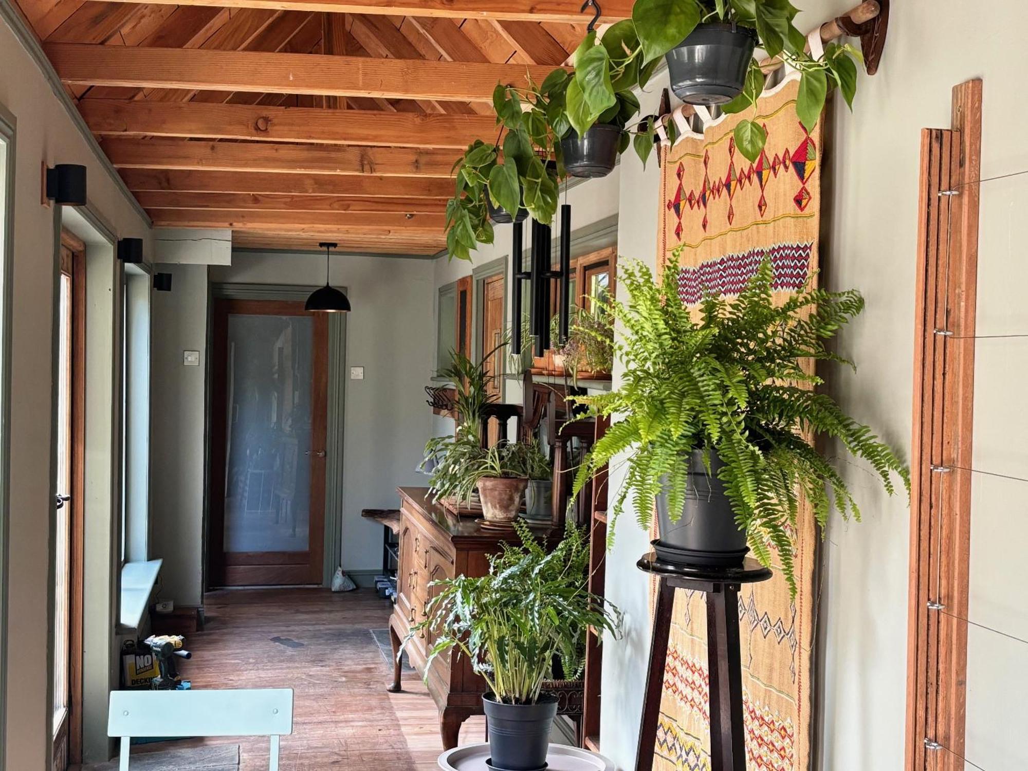Sligo Forest Retreat 외부 사진