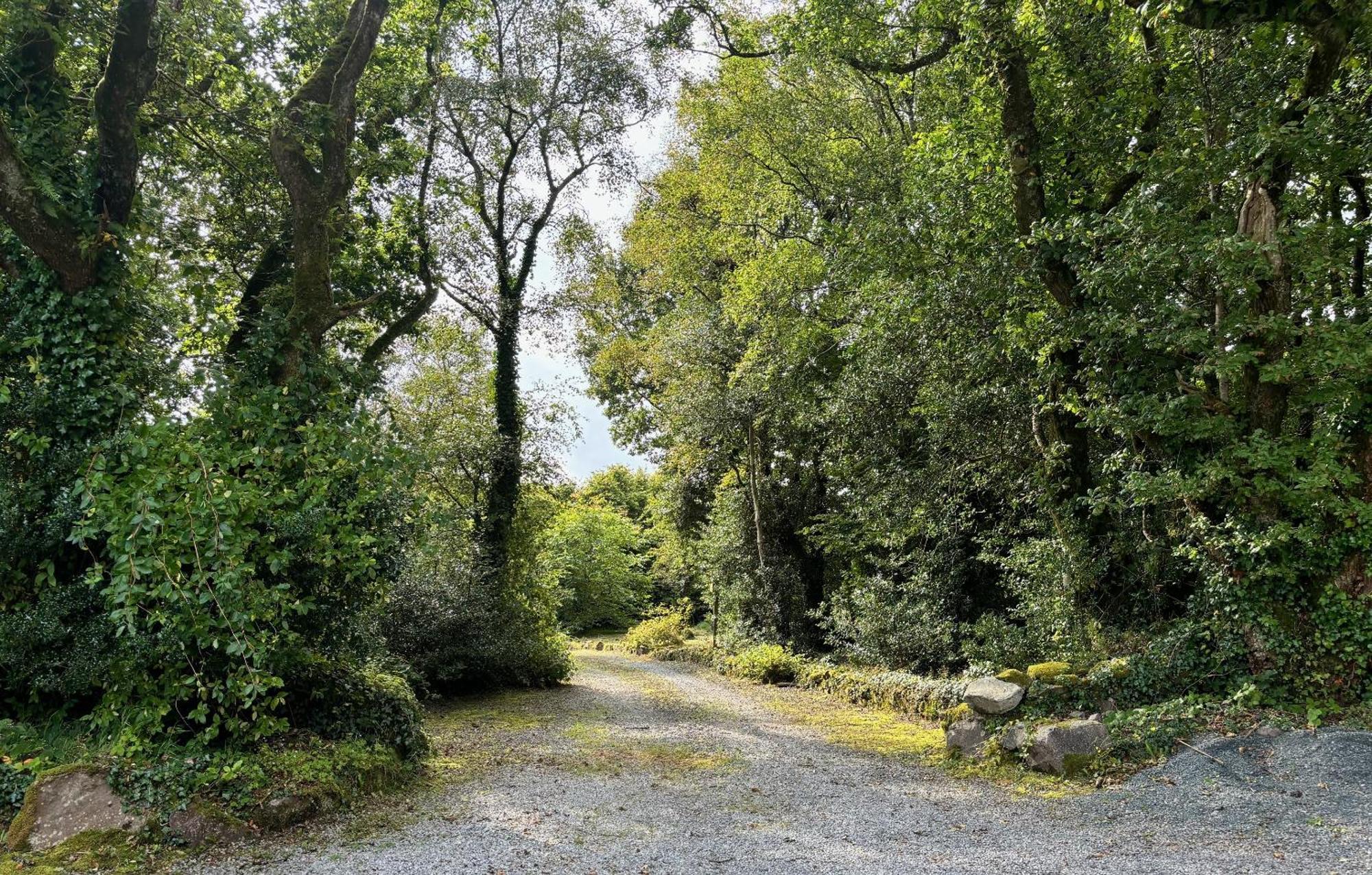 Sligo Forest Retreat 외부 사진